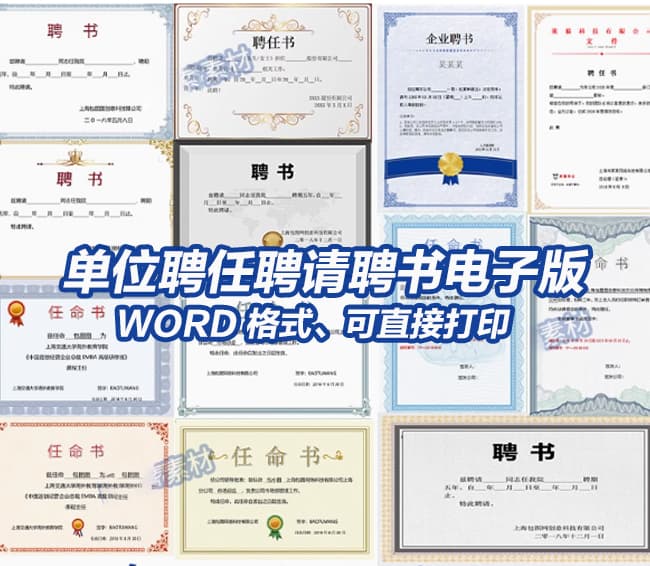 通用企业单位聘任聘书电子版-任命书word模板素材